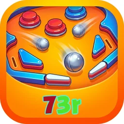 73r